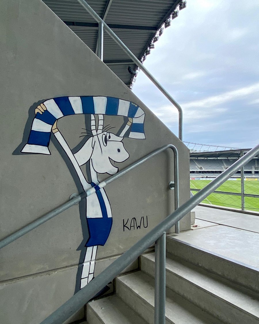 Residents of Kaunas decide what to do with the goat painted by Poles